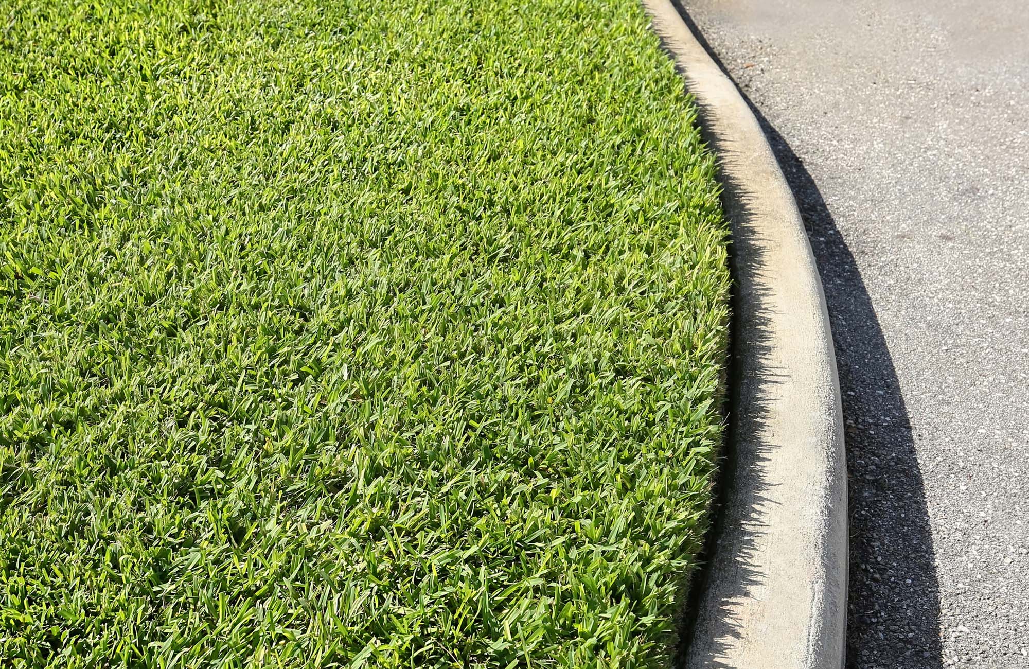 Freshly cut, thick and healthy St. Augustine grass growing close to the curb